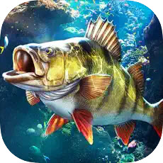 歡樂釣魚大師正版下載免費 v1.0.0